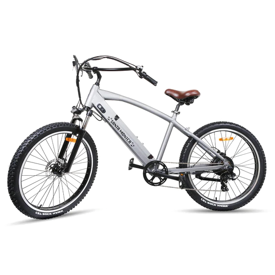 Electric bicycle online second hand