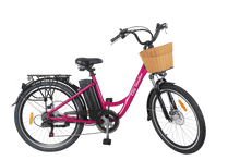 Load image into Gallery viewer, Stroller 26&quot; City Electric Bike
