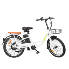 Load image into Gallery viewer, Pony 250W City Electric Bike
