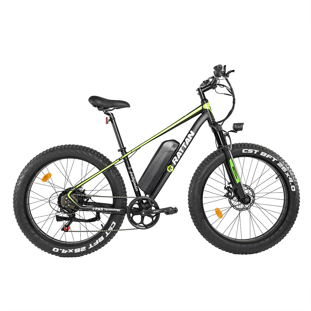 Pathfinder 750W Fat Tire – electricbikespace
